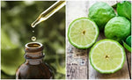 Load image into Gallery viewer, Bergamot Essential Oil
