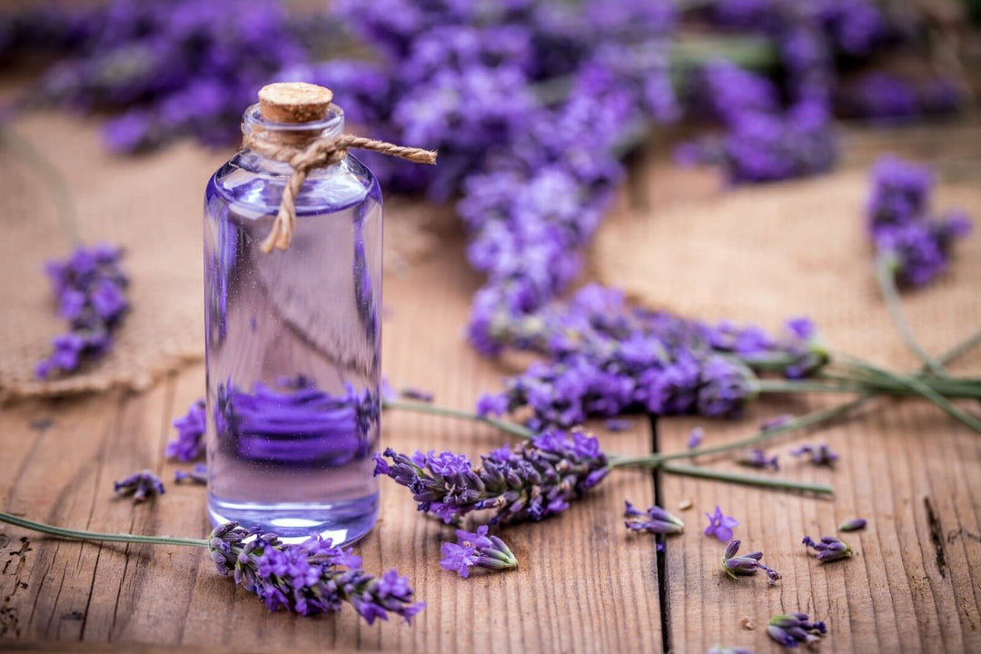 Lavender Organic Carrier Oil- clear colour"