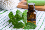 Load image into Gallery viewer, Peppermint Essential Oil- (Spain)
