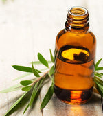 Load image into Gallery viewer, Tea Tree Essential Oil-uk
